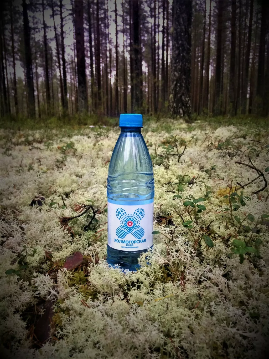 Фотография продукта Холмогорская вода